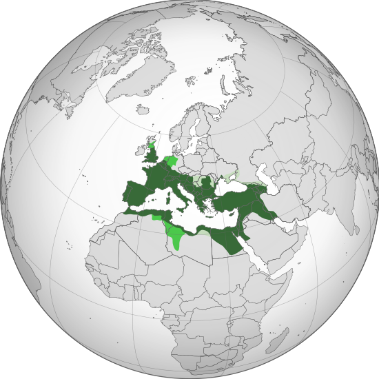 File:Roman Empire (orthographic projection).svg