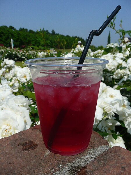 File:Rose Tea in the Kanoya Rose Garden.JPG