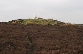 <span class="mw-page-title-main">Urra Moor</span> Hill in North Yorkshire, England