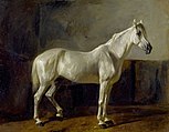 Standing White Horse