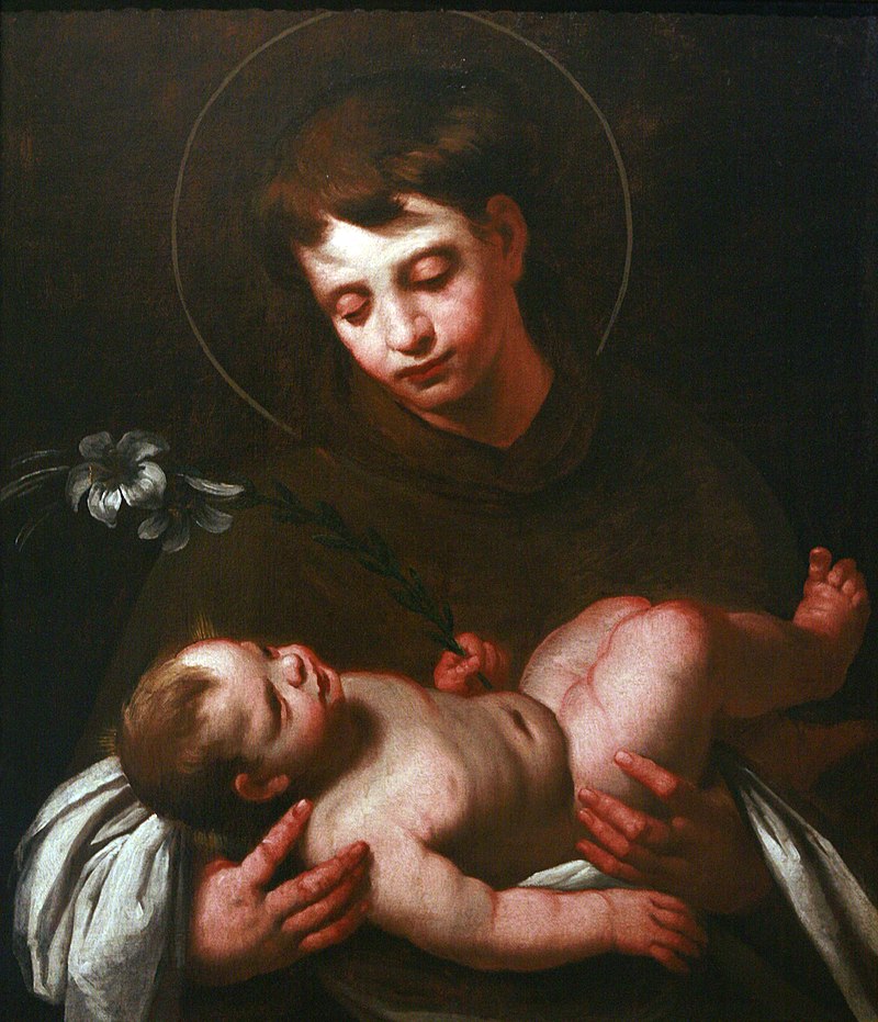 Saint Anthony of Padua Holding Baby Jesus by Strozzi, c. 1625; the white lily represents purity dans immagini sacre 800px-Saint_Antony_of_Padua_holding_Baby_Jesus_mg_0165