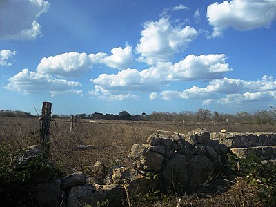 Сан-Хуан-де-лас-Флорес