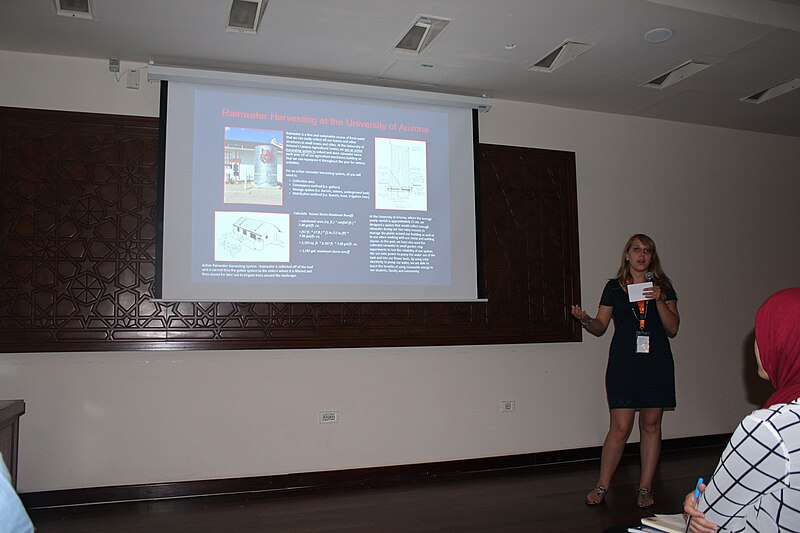 File:Sarah's presentation at RISE.JPG