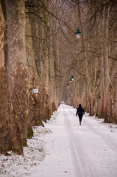 File:Sarajevo (16616175600).jpg