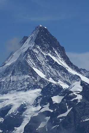 Schreckhorn