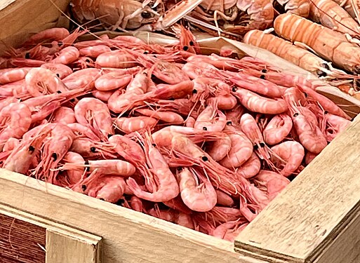 Seafood buffet with shrimps in Vrångö, Sweden