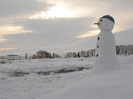 Tập_tin:Self_portrait_in_snow_-_geograph.org.uk_-_648877.jpg