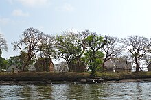 Chaman reunion in Catemaco, Veracruz ShamanReunionCatemaco3.JPG