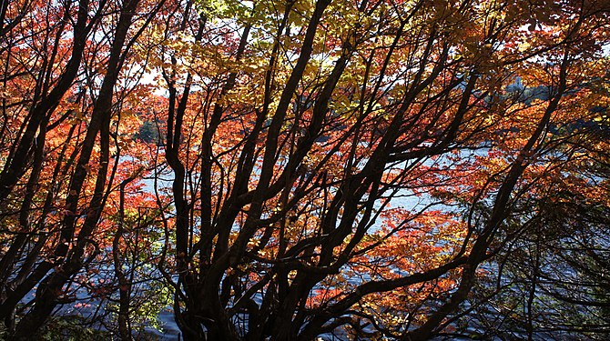 Shirakoma Pond, Japan