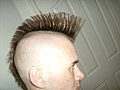 Thumbnail for Mohawk hairstyle