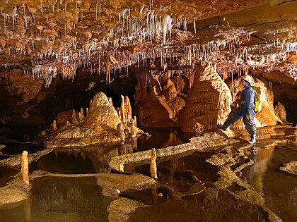 Espeleotemak eta goursak Lamiñen Sisteman. Argazkia: ADES