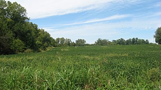 <span class="mw-page-title-main">Utica Township, Clark County, Indiana</span> Township in Indiana, United States