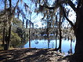 Sneads Smokehouse Lake