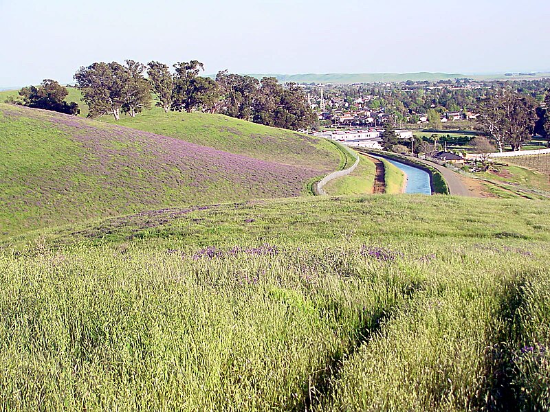 File:Solano-hillside 009.jpg