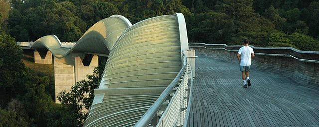 Image: Southern Ridges Henderson Waves