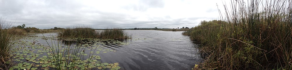 Wandern auf dem Florida National Scenic Trail im St. Marks National Wildlife Refuge.