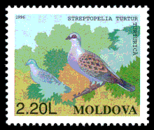 European turtle dove, Streptopelia turtur Stamp of Moldova 204.gif