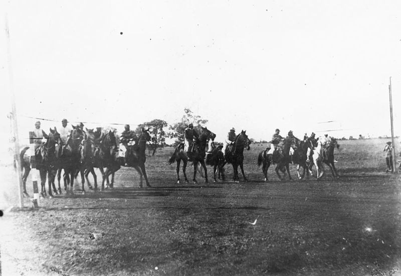 File:StateLibQld 1 93024 Horses at the start at the Winton racecourse, Qureensland, ca. 1895.jpg