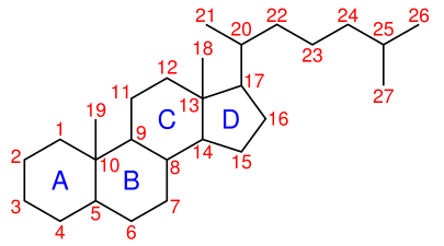 File:Steroid-nomenclature.svg