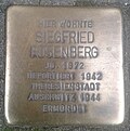 Stolperstein für Siegfried Rosenberg (Domstraße 41)