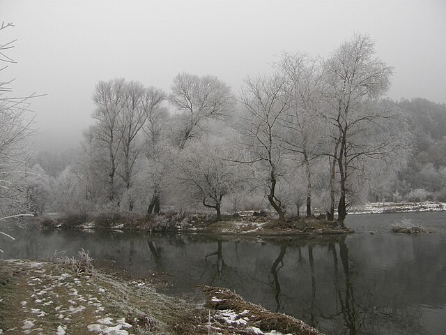 Image: Struma Winter
