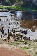 Thumbnail for File:Stumps from former bridge over river in Toodyay.jpg