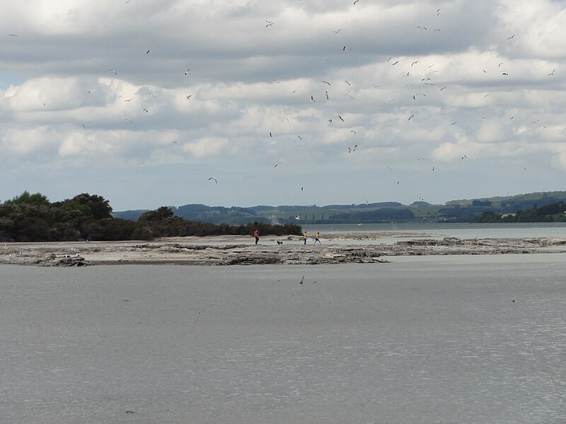 File:Sulphur Bay overview 2 2011.JPG