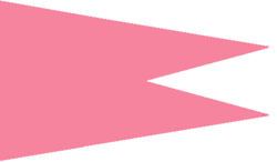 Flag of Surgana