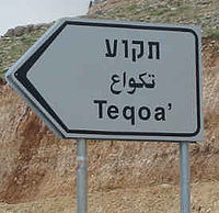 Tekoa (Gush Etzion)