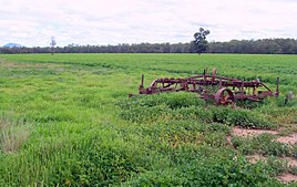 Terri Tie-Tie farmland.jpg