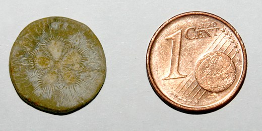 Romeinse tessera met een eurocentstuk ter vergelijking ernaast