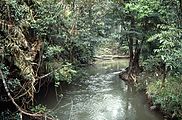 Khao Yai National Park