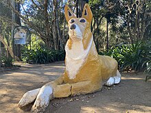 The Big Dingo