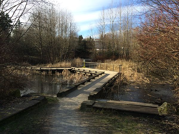 The Sanctuary boardwalk