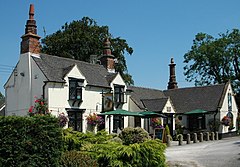 Shire Horse Wyaston.jpg