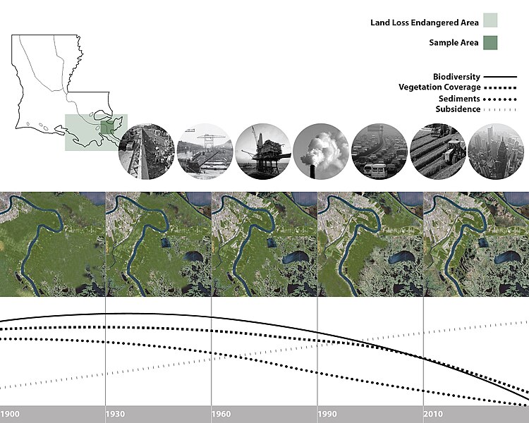 File:The wetland lose of southern louisiana due to human activities.jpg