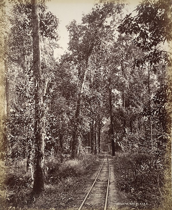 1880 line through the Terai