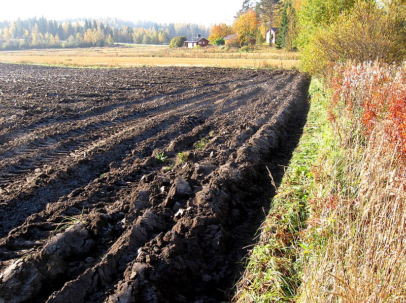 File:Tillage Lappeenranta 02.jpg