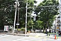 千代田区三番町の東郷元帥記念公園（2018年6月26日撮影）
