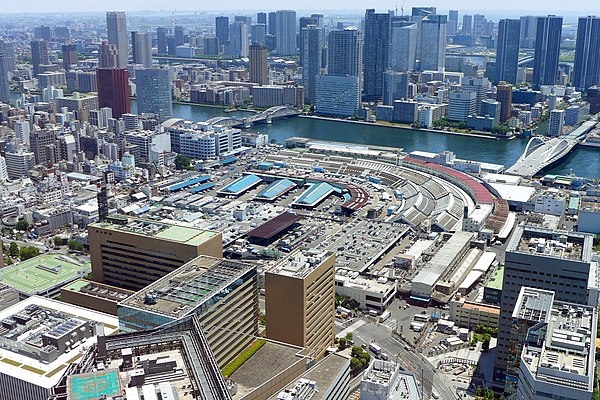 Tsukiji fish market