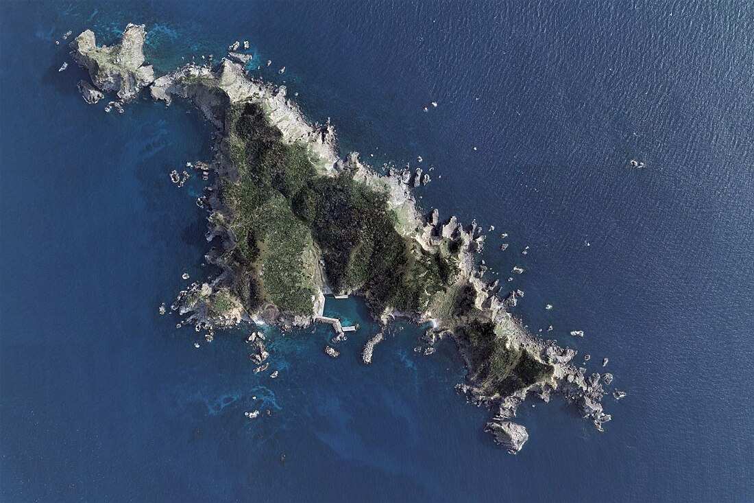 宇治島 (鹿児島県)