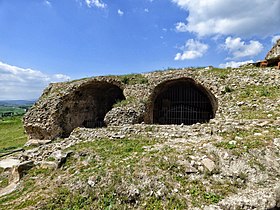 Uchi Maius makalesinin açıklayıcı görüntüsü