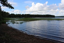 Västersjöns södra strand.