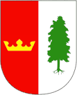 Velký Bor coat of arms