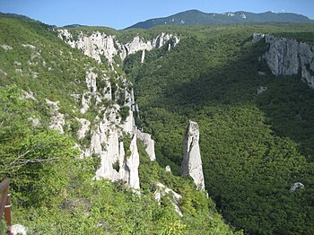 Vela Draga 2008 Valley, Northwest Croatia.JPG