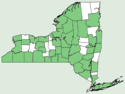 Veronica americana NY-dist-map.png