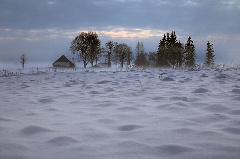 File:Viensēta Lietuvā pie Latvija - Lietuva robežas netālu no Aknīstes un Jodupes - panoramio.jpg