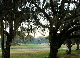 Babe Zaharias Golf Course View of Babe Zaharias golf course - Tampa.jpg