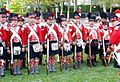 Vitoria - Recreacion historica de la Batalla de Vitoria, bicentenario 1813-2013 021.jpg