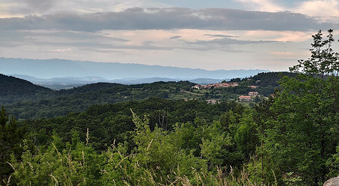 Vrhovlje, Sežana